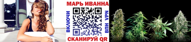 кракен зеркало  нарко площадка официальный сайт  Каннабис сатива  где найти наркотики  Злынка 